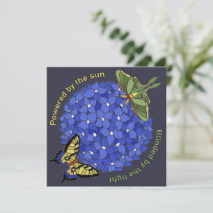 Alimenté par le soleil - Aveuglé par la lumière Ca