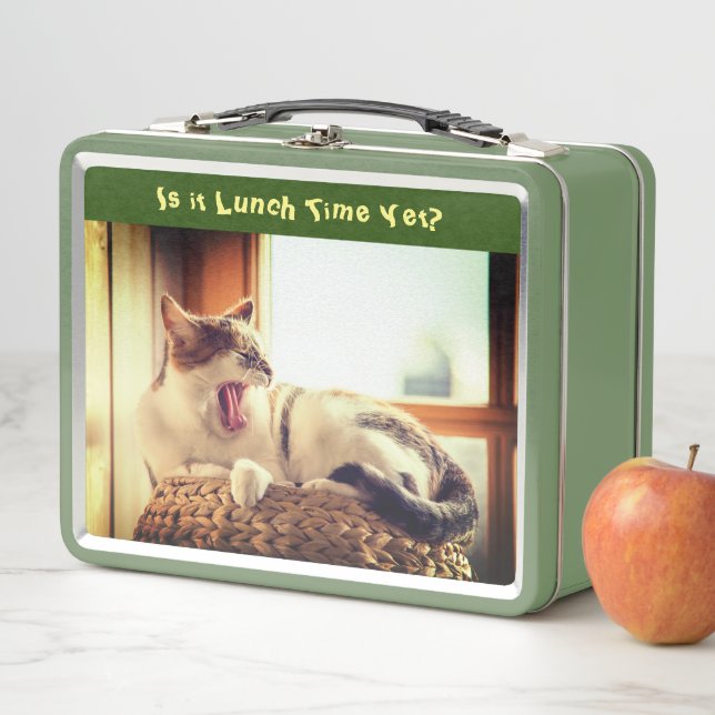 Alimenter le chat Funny Metal Lunch Box (En situation)