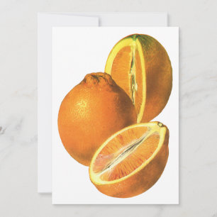 Aliments Anciens, Oranges Fraîches Biologiques Sai