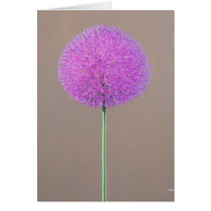 Alium