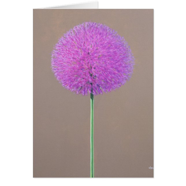 Alium (Devant)