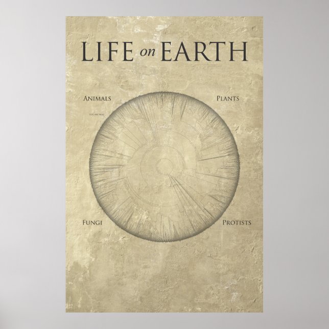 All Life on Earth, cartographié sur une affiche gé (Devant)