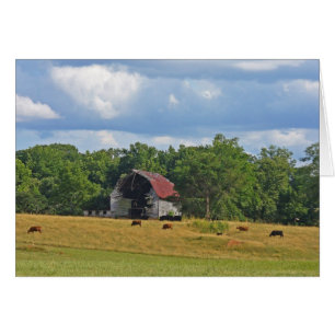 Allé mais non oublié