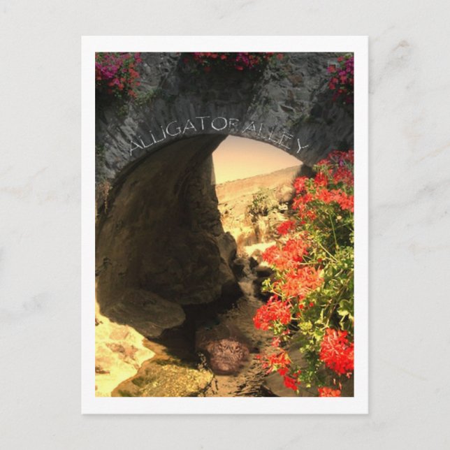 ALLÉE D'ALLIANCE DE LA CARTE POST (Devant)