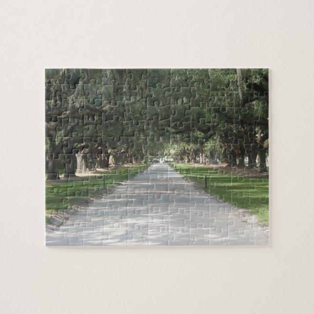 Allée de chêne chez Boone Hall, puzzle de Sc de (Horizontal)