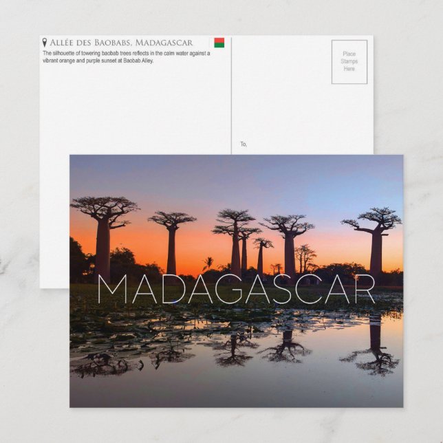 Allée des Baobabs, Carte postale de voyage à Madag (Devant / Derrière)