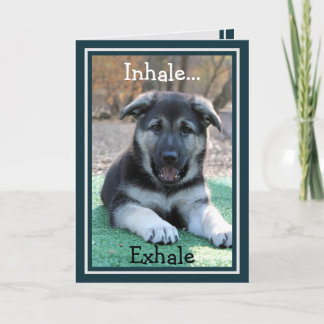 Allemand Berger Chiot drôle Carte Anniversaire