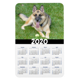 Allemand Shepherd Dog 2020 Calendrier Magnet