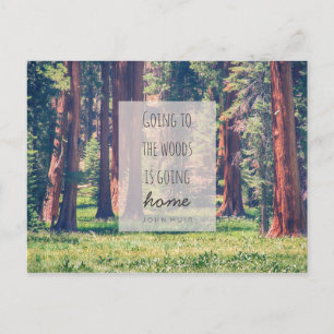 Aller à la forêt   Carte postale