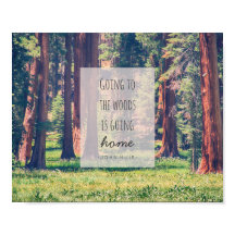 Aller à la forêt | Poster