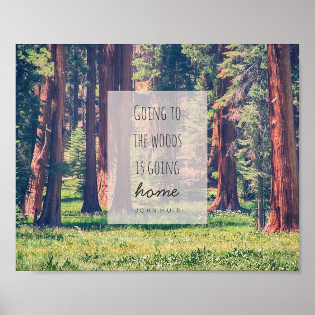 Aller à la forêt | Poster (Devant)