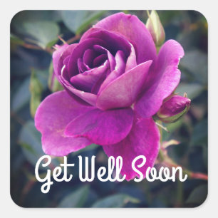 Allez-y Bientôt Burgundy Iceberg #2-2 Stickers