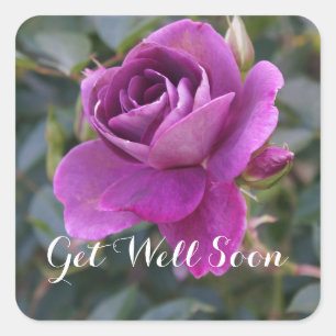 Allez-y Bientôt Burgundy Iceberg #2 Stickers