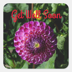 Allez-Y Bientôt Dahlia Irish Miss #1 Stickers