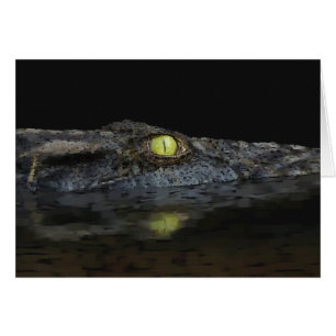 Alligator américain