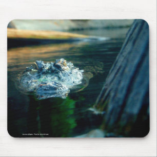 Alligator américain de tapis de souris - photo pa