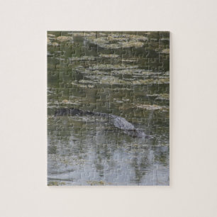 Alligator Jigsaw Puzzle