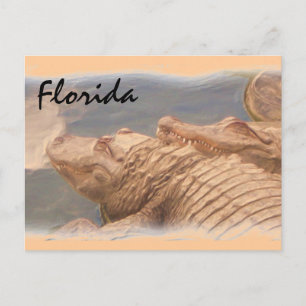 Alligator love Floride carte postale