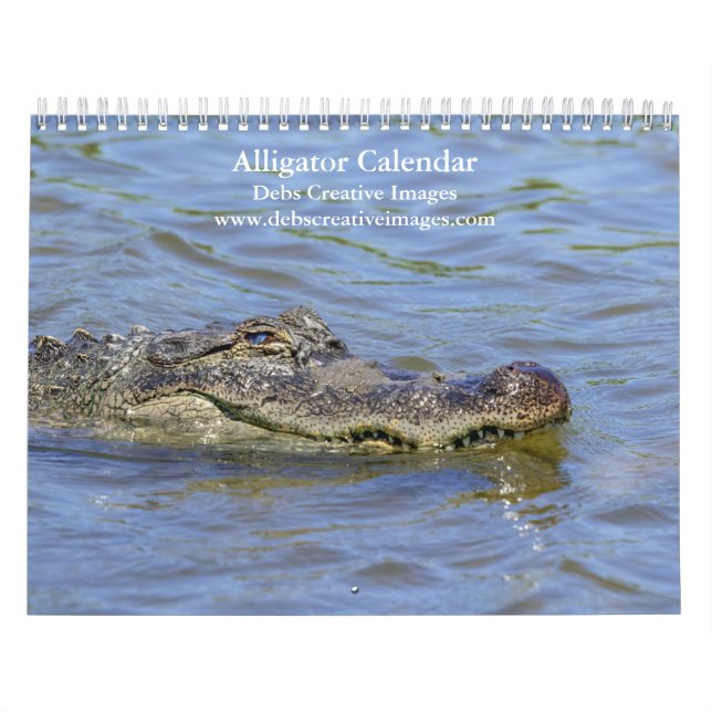 Alligators Sauvages en Floride Calendrier 2026 (Protection)