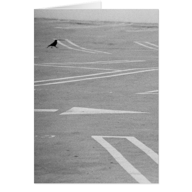 Allons-Y ! ! (Devant)