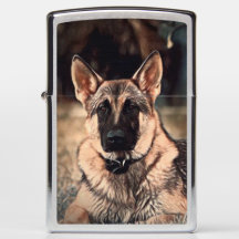 Allumeur de poche de Zippo de chien de berger