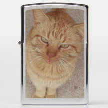 Allumeur frais de Zippo de chat