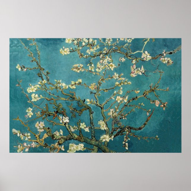 Almond Blossom Poster (Devant)