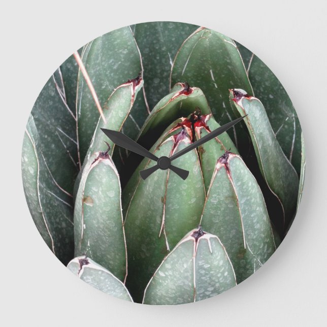 Aloe Green Photo Plante Round (Grande horloge mura (Recto)
