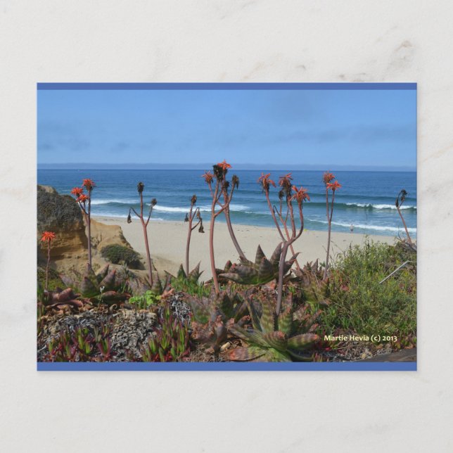 Aloe Vera en HMB | Carte postale Blue Beach Song™ (Devant)