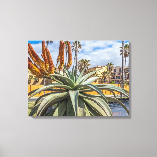 Aloe Vera plante et fleurs en toile (Recto)