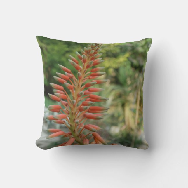 Aloe Vera Plante Photo Jeter Coussin (Recto)