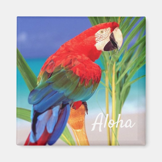 Aloha Bird Magnet (Devant)