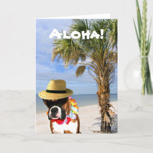 Aloha chien de boxeur sur la carte de voeux de