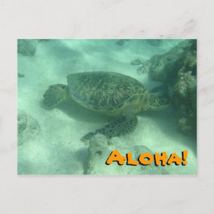 Aloha de tortue marine de Hawaii Carte postale