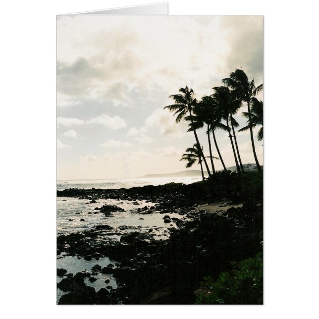 Aloha ! d'Hawaï (Devant)