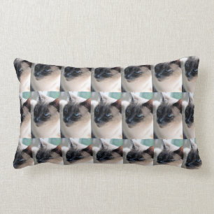 Aloof Siamese Chat Lumbar Coussin