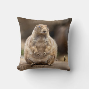 Alors je suis un peu courte pour mon poids Coussin