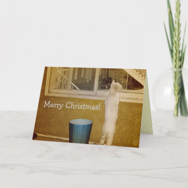 Alors, la belle carte de Noël ! (Devant)