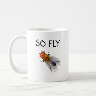 Alors mouche Drosophila mug
