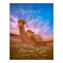 Alpaca Bible Verse Dessiner près de Dieu Poster