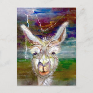 Alpaca - Carte postale Oncle Glen