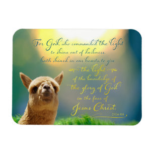 Alpaca Gold Turquoise Bible Verse Photo Magnet