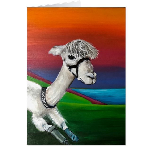 Alpaca - Jeudi obtenir carte de bien avec l'histoi (Devant)