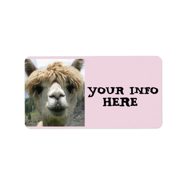 ALPACA LAMA RETOUR ADRESSE ÉTIQUETTES (Devant)