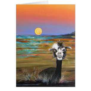 Alpaga - Vincent avec la carte d'histoire