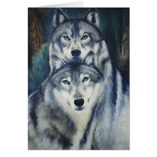 "Alpha paires " (Devant)