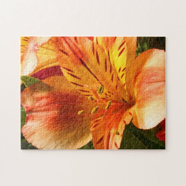 Alstroemeria dans Orange Jigsaw Puzzle (Horizontal)