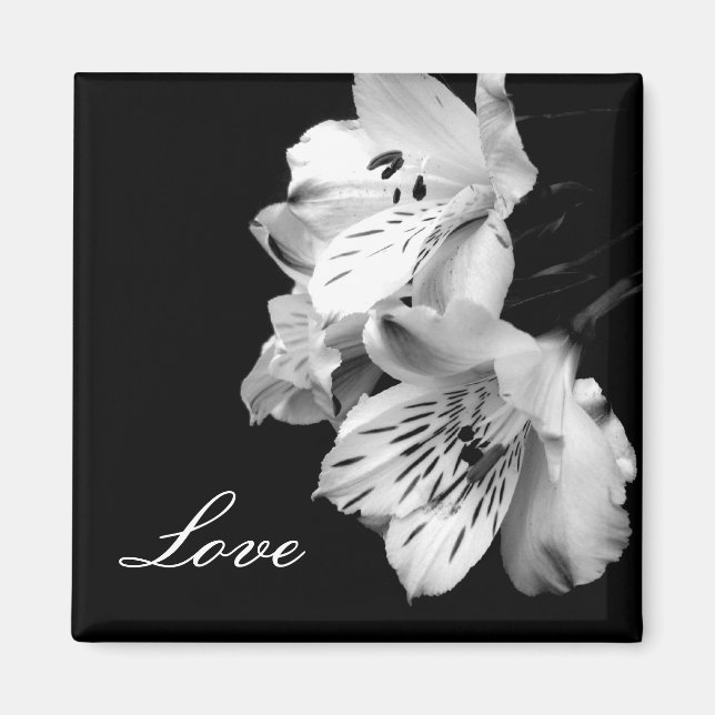 Alstroemeria Lily Love Magnet (Devant)