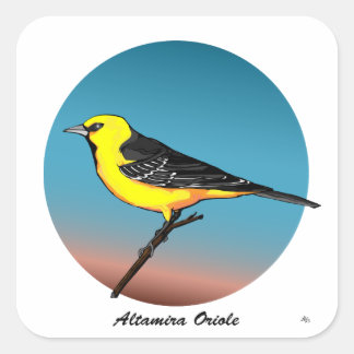 Altamira Oriole rev.2.0 Boutons et autocollants
