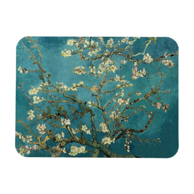 Amande Blossom Premium Magnet (Horizontal)